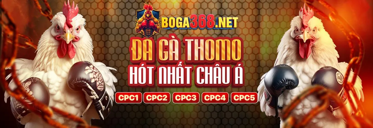 Giải bóng đá lớn vin55 casino